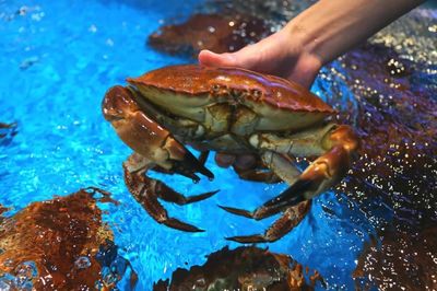 入冬了!2018年最后幾天,冷空氣即將虐哭南寧人!但有一個(gè)地方卻&hellip;