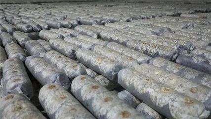 山陽、商南6個重點項目接受全市&ldquo;檢閱&rdquo;