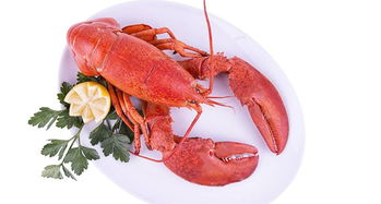 多國海鮮產品關稅迎調整或全免，全球貿易格局或將重塑