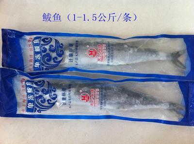 青島海鮮盛宴，禮遇四方 城陽(yáng)海產(chǎn)品禮盒批發(fā)采購(gòu)全指南