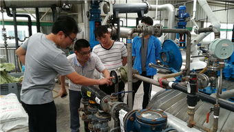 眉山市久鼎安全技術咨詢公司積極配合落實全市安全生產工作系統檢查